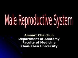 male_repro.sys.ppt