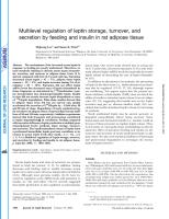 Multilevel regulation of leptin storage, turnover, and secretion by feeding and insulin in rat adipose tissue.pdf