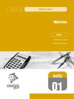 Álgebra Linear I - Aula 01 - 559 - Matrizes.pdf