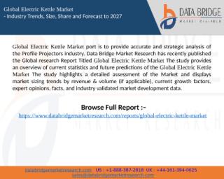 Electric Kettle Market.pptx