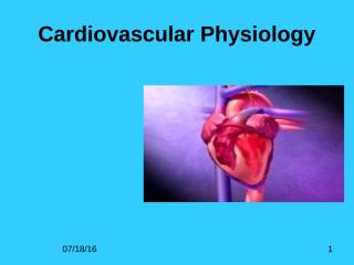 Cardiovascular physiology.ppt