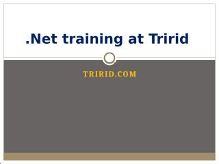 .Net training at Tririd.pptx